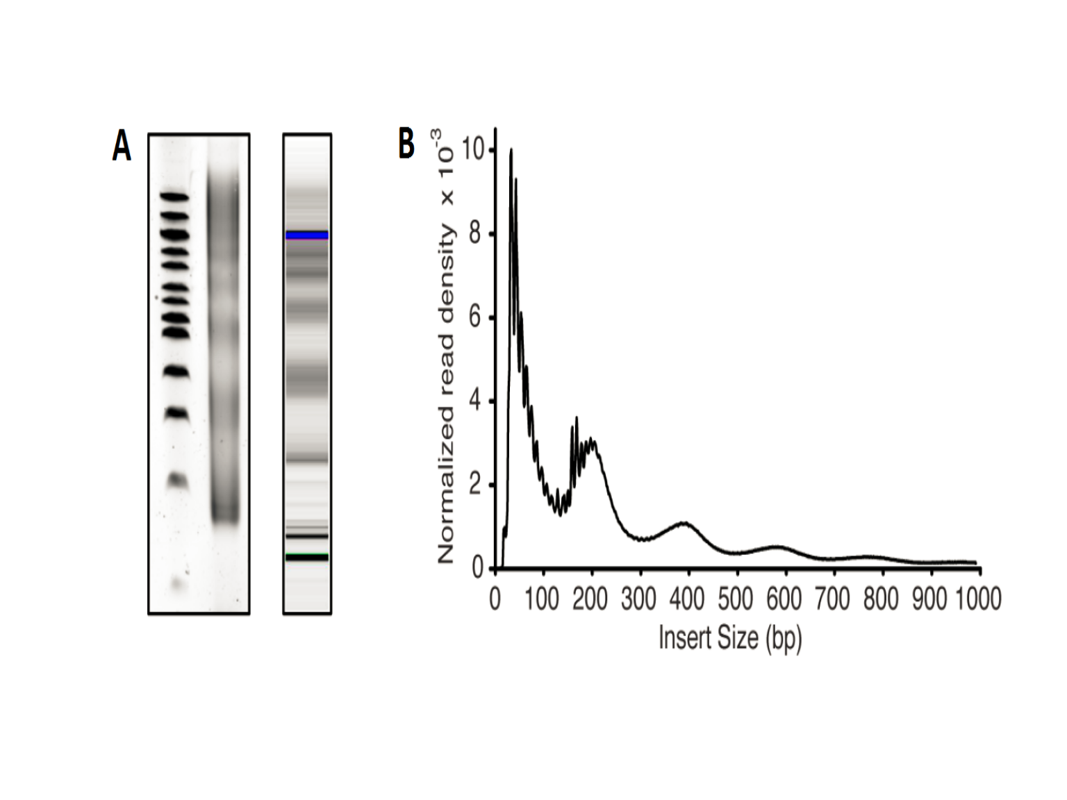 Figure 7. Library insert fragment size distribution in a typical ATAC-seq assay.